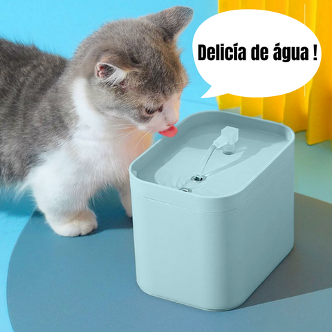 BEBEDOURO E FONTE PARA GATOS