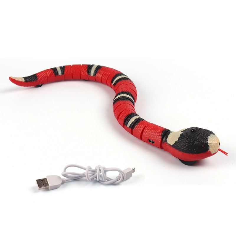 COBRINHA ELETRÔNICA - SNAKE CAT