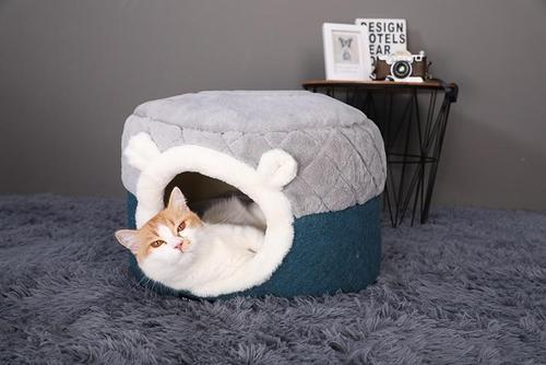 CAMA DE GATO